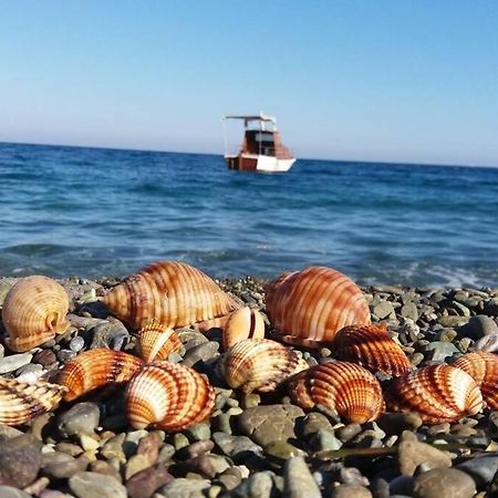 Κατοικία Πανόραμα, Πραγματευτή Λεωνιδίου, Τ.Κ.22300 Leonídion エクステリア 写真