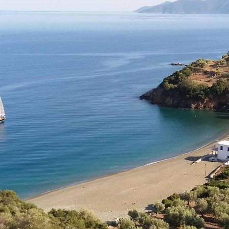 Κατοικία Πανόραμα, Πραγματευτή Λεωνιδίου, Τ.Κ.22300 Leonídion エクステリア 写真