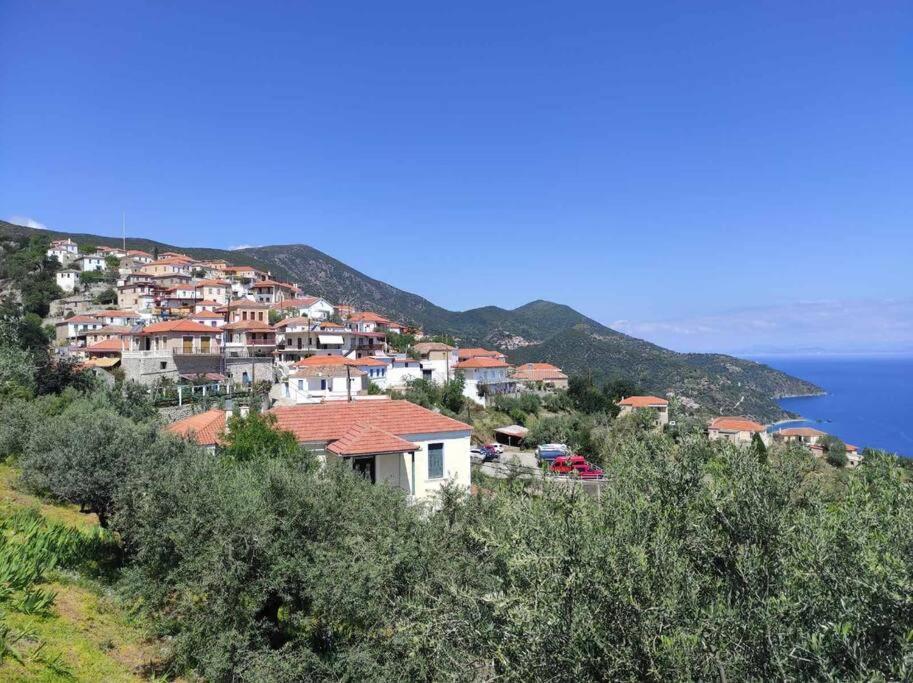 Κατοικία Πανόραμα, Πραγματευτή Λεωνιδίου, Τ.Κ.22300 Leonídion エクステリア 写真