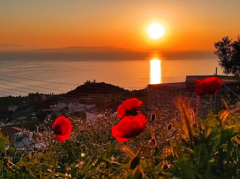 Κατοικία Πανόραμα, Πραγματευτή Λεωνιδίου, Τ.Κ.22300 Leonídion エクステリア 写真